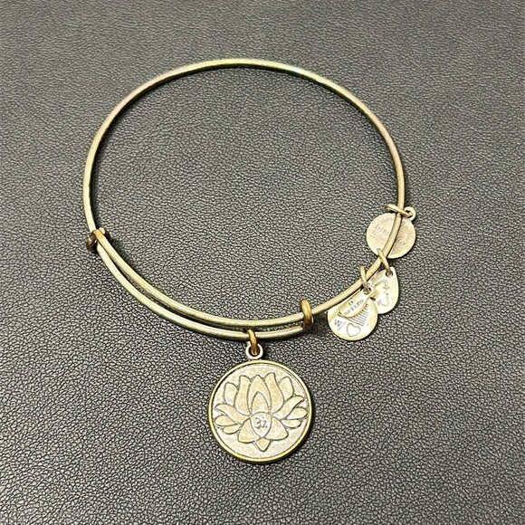 Your Pick – Alex & Ani Gold Charm Bracelets | Boho Spiritual Jewelry - Picture 7 of 12